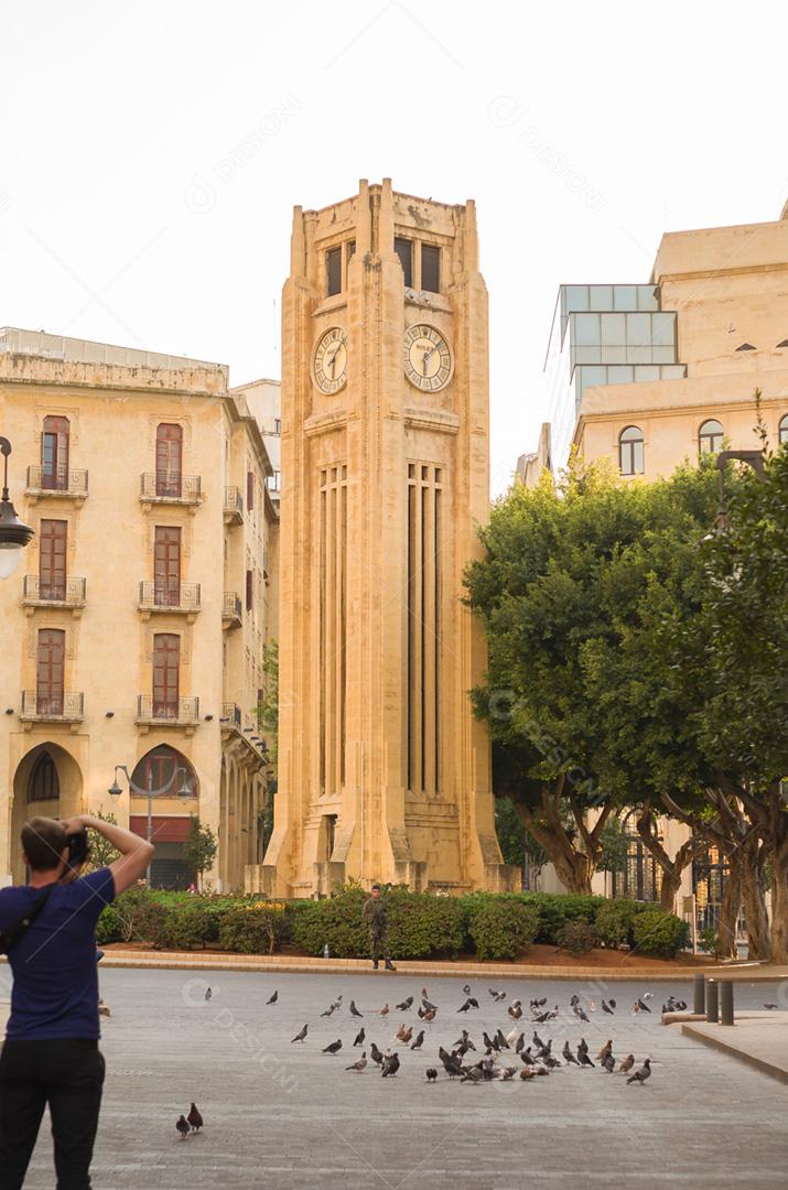Várias pombas no centro de Beirute Líbano, praga urbana.