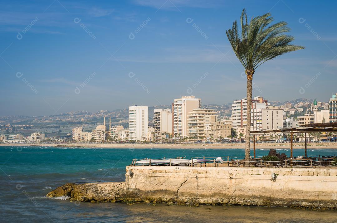 Palmeira na bela cidade de Sidon, no Líbano