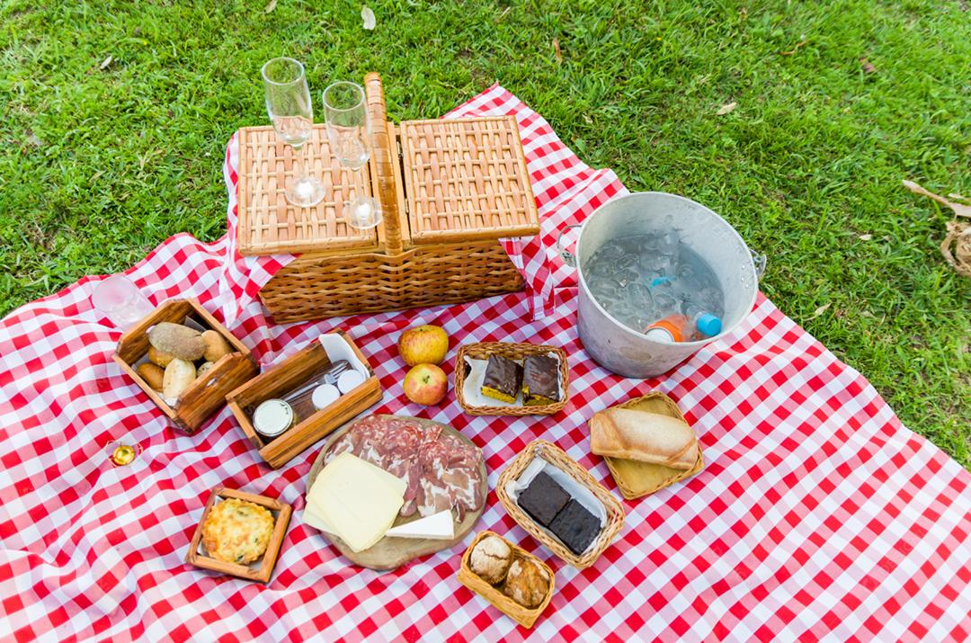 Comidas piquenique sobre campo grama verde frutas pao queijo piquenique salame