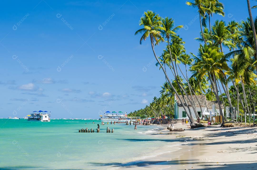 Jovem turista deitada em coqueiro na praia paradisíaca do Brasil, Praia dos Carneiros, Pernambuco, Brasil.