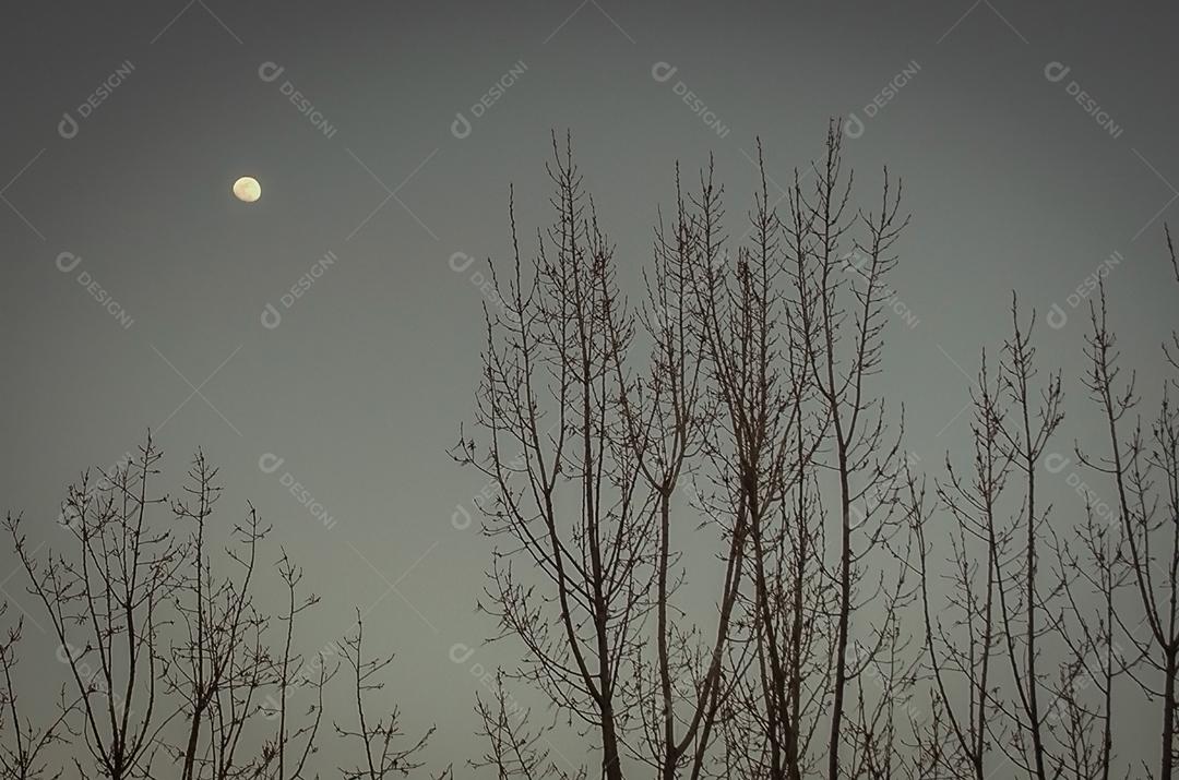 Lua ao entardecer no céu do Líbano