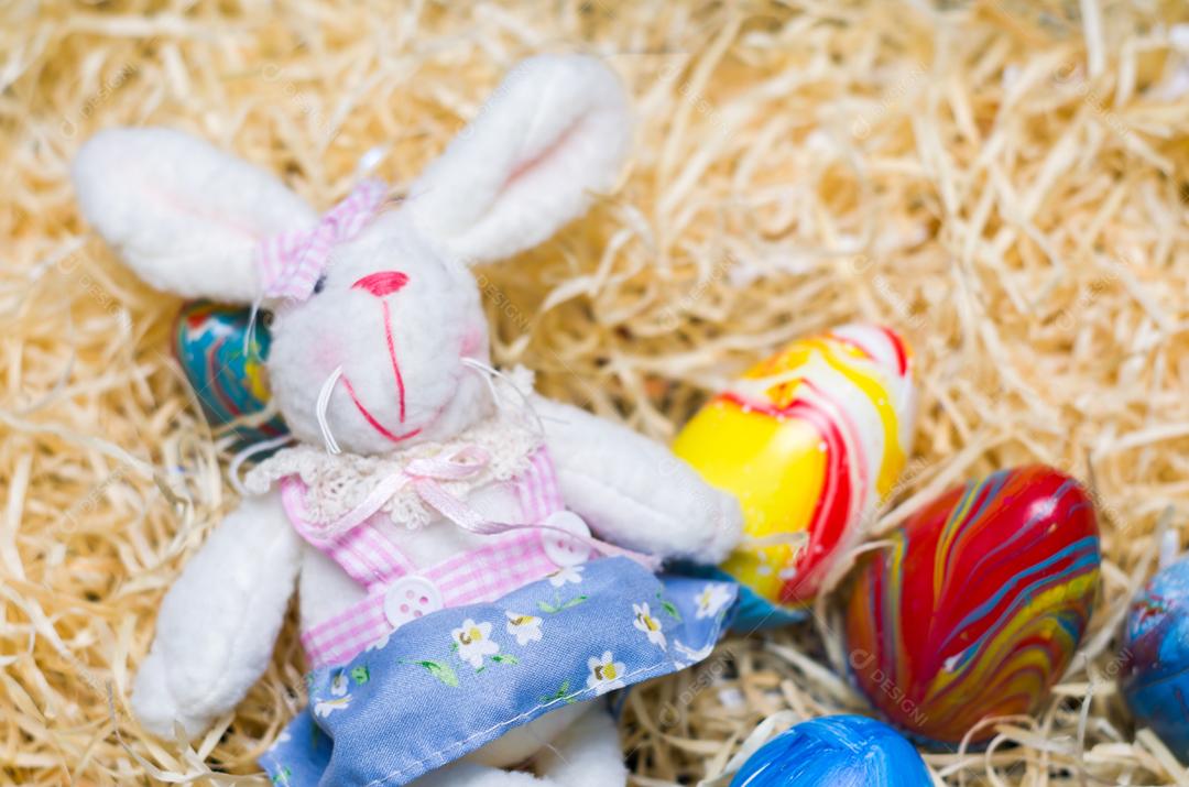 Conceito de Páscoa, coelhinho da Páscoa de pelúcia em fundo de palha com ovos decorados e coloridos.