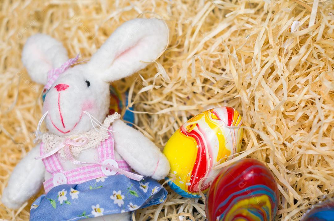 Conceito de Páscoa, coelhinho da Páscoa de pelúcia em fundo de palha com ovos decorados e coloridos.