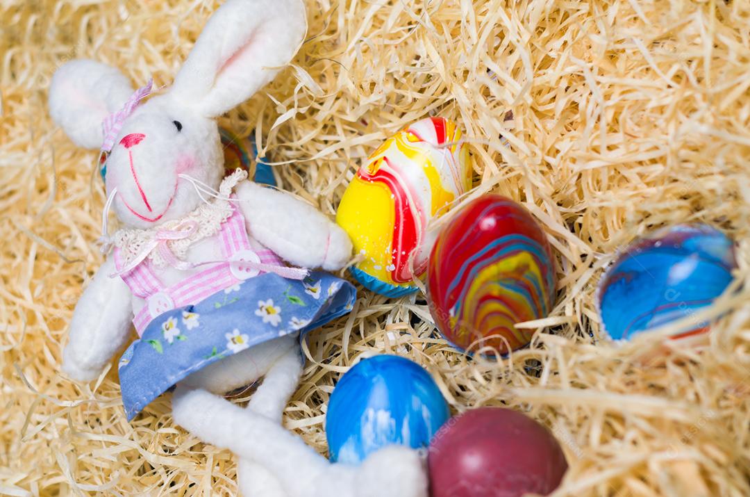 Conceito de Páscoa, coelhinho da Páscoa de pelúcia em fundo de palha com ovos decorados e coloridos.
