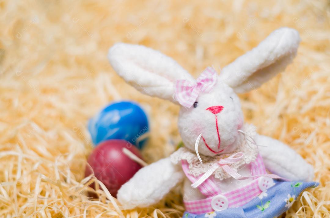 Conceito de Páscoa, coelhinho da Páscoa de pelúcia em fundo de palha com ovos decorados e coloridos.