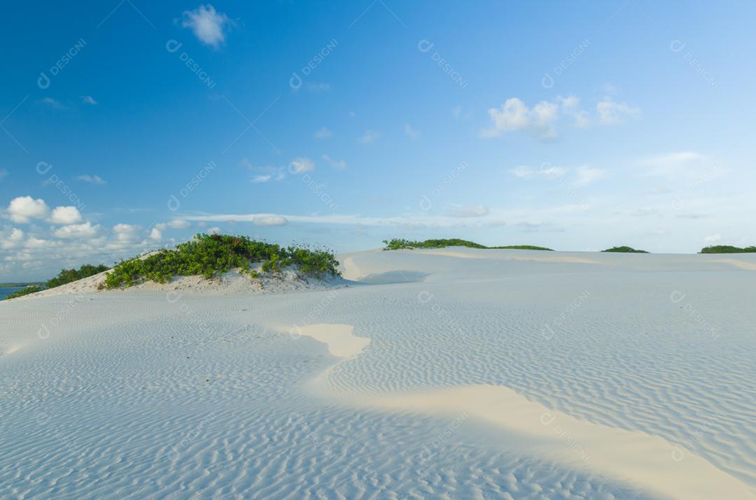 Linda vista do Mangue Seco na Bahia, praia dos pequenos pescadores