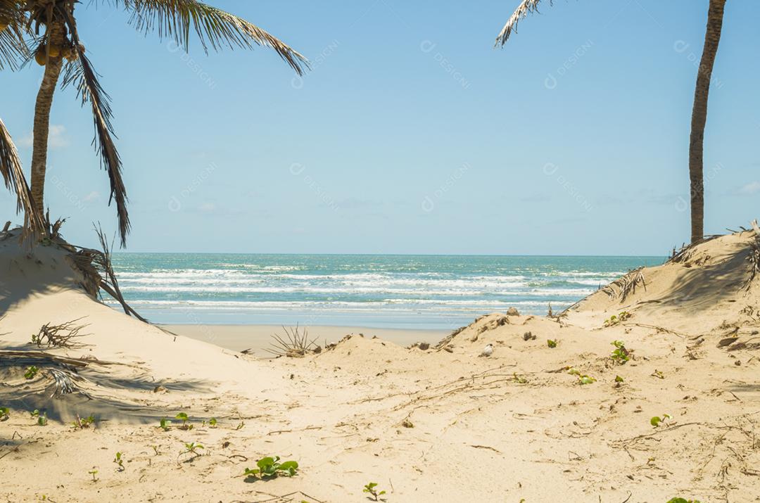 Linda vista do Mangue Seco na Bahia, praia dos pequenos pescadores