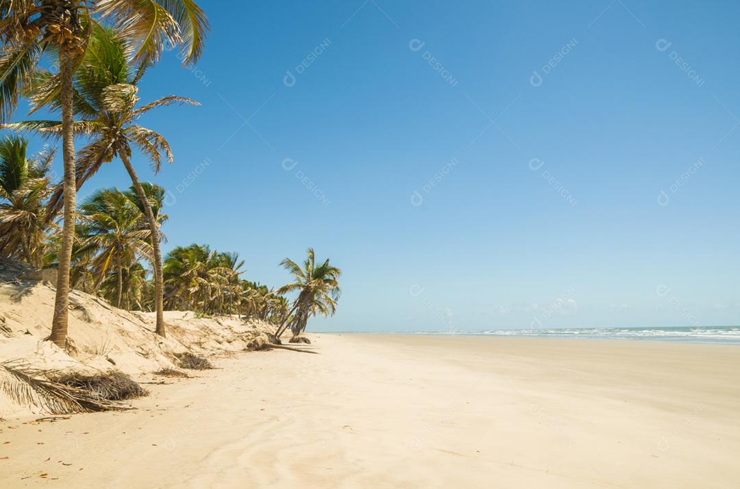 Linda vista do Mangue Seco na Bahia, praia dos pequenos pescadores