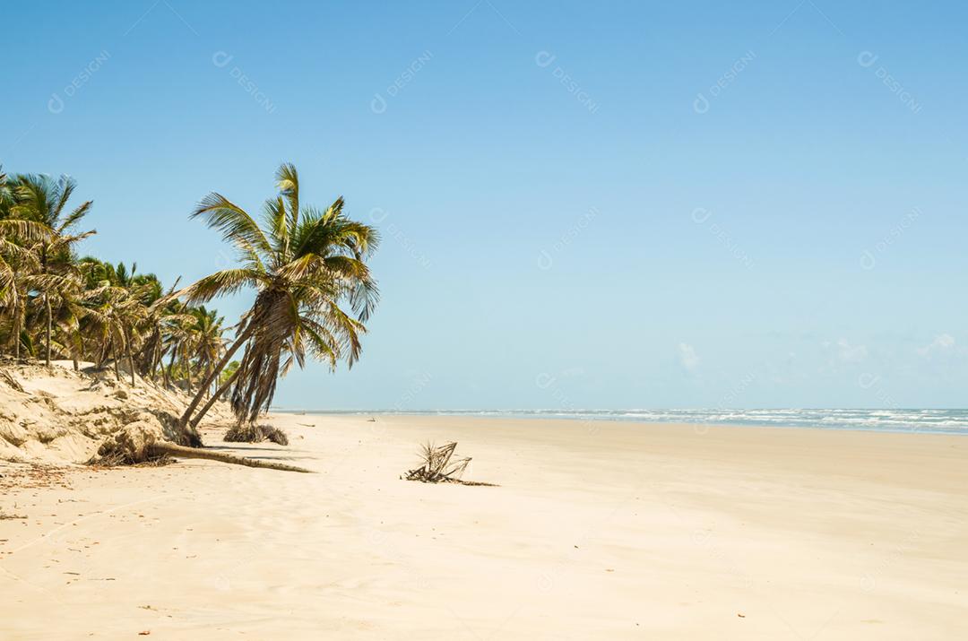 Linda vista do Mangue Seco na Bahia, praia dos pequenos pescadores
