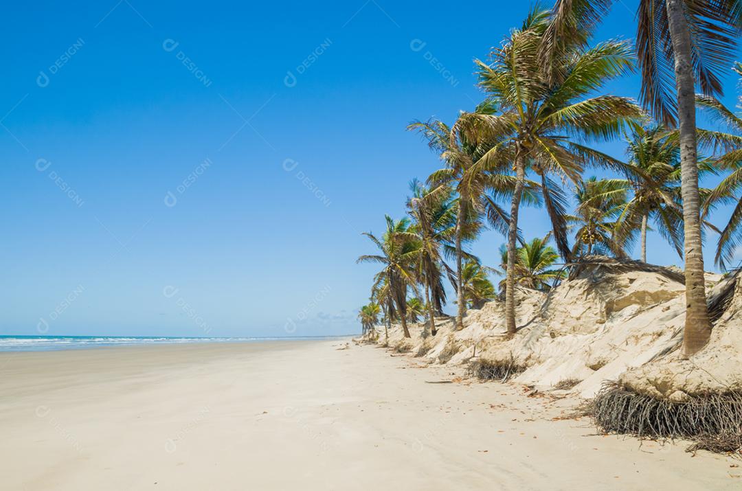 Linda vista do Mangue Seco na Bahia, praia dos pequenos pescadores