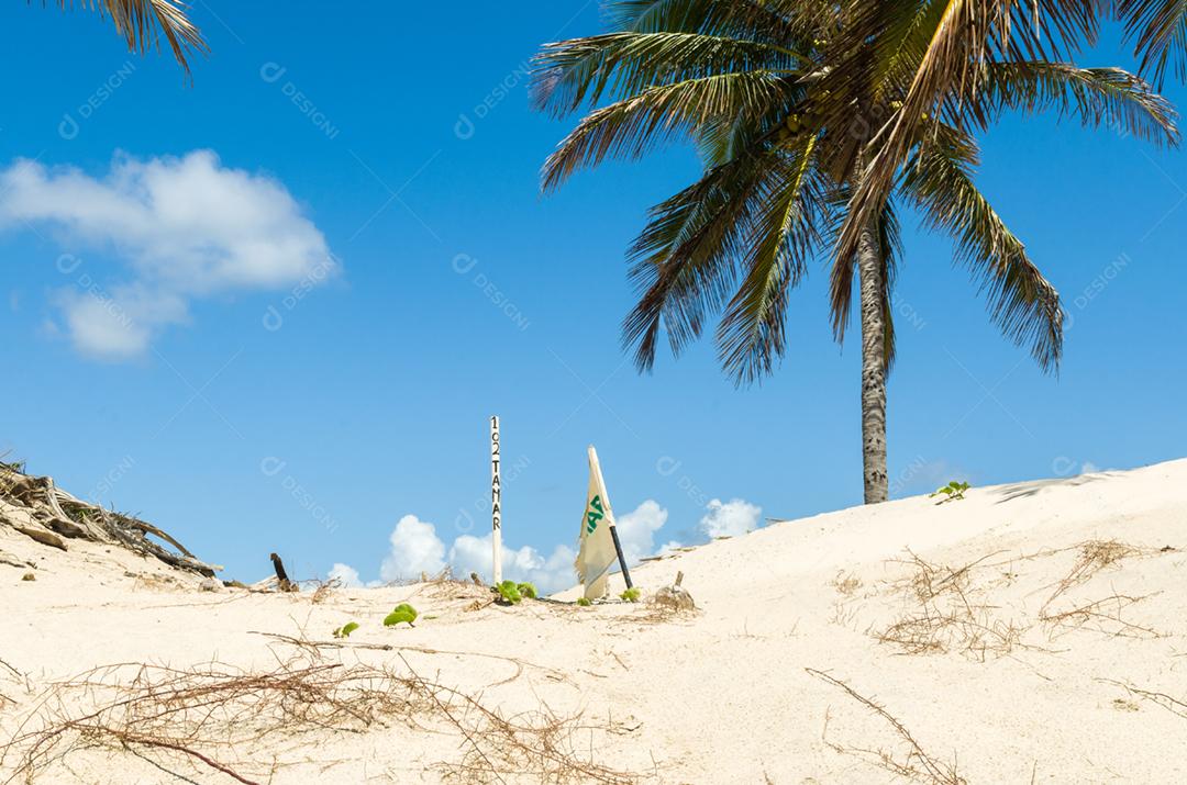 Importante projeto de conservação ambiental para tartarugas marinhas, foto do sítio de proteção de ninho de tartaruga na praia de Mangue Seco