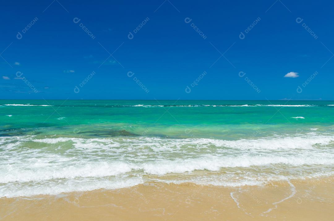 Grande fundo temático do mar, lindo mar com estilo caribenho turquesa de água azul. Praia dos Carneiros