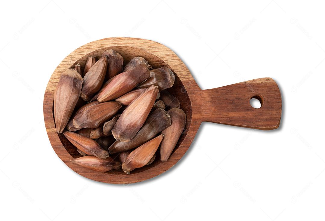 Semente de pinheiro, comida típica do festival de junho brasileiro isolada