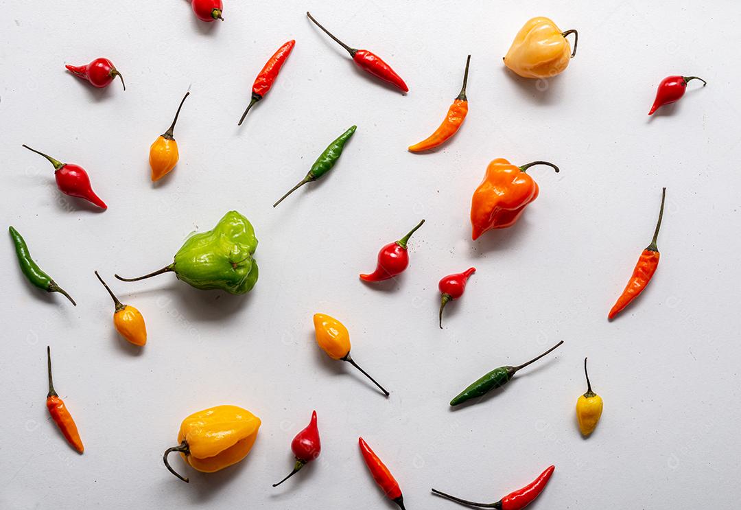 Variedade de pimentas brasileiras coloridas em um fundo branco. Início