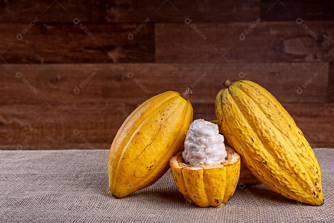 Cacau brasileiro em uma mesa de madeira. Amêndoas de cacau