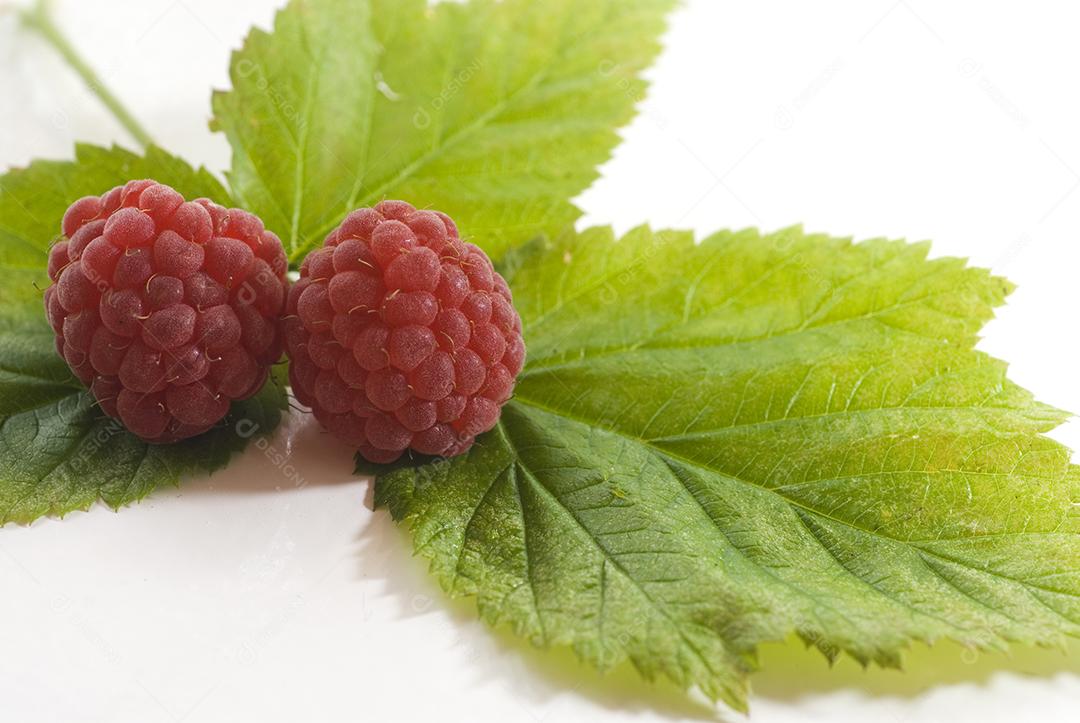 Comida fruta sobre folha verde com fundo branco