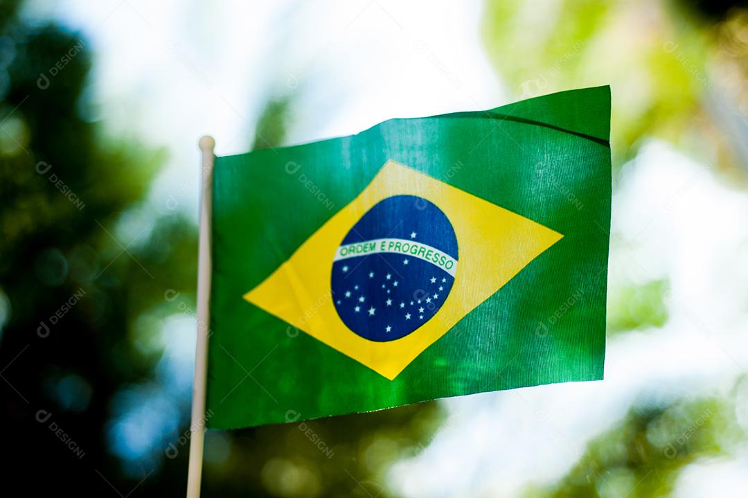 Bandeira do Brasil representação da pátria. Fundo desfocado