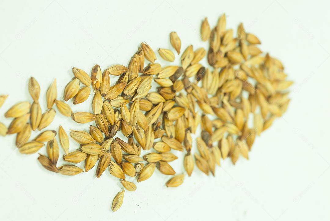 hordeum  consideradas ervas invasoras e outras raras e ameaçadas de extinção.