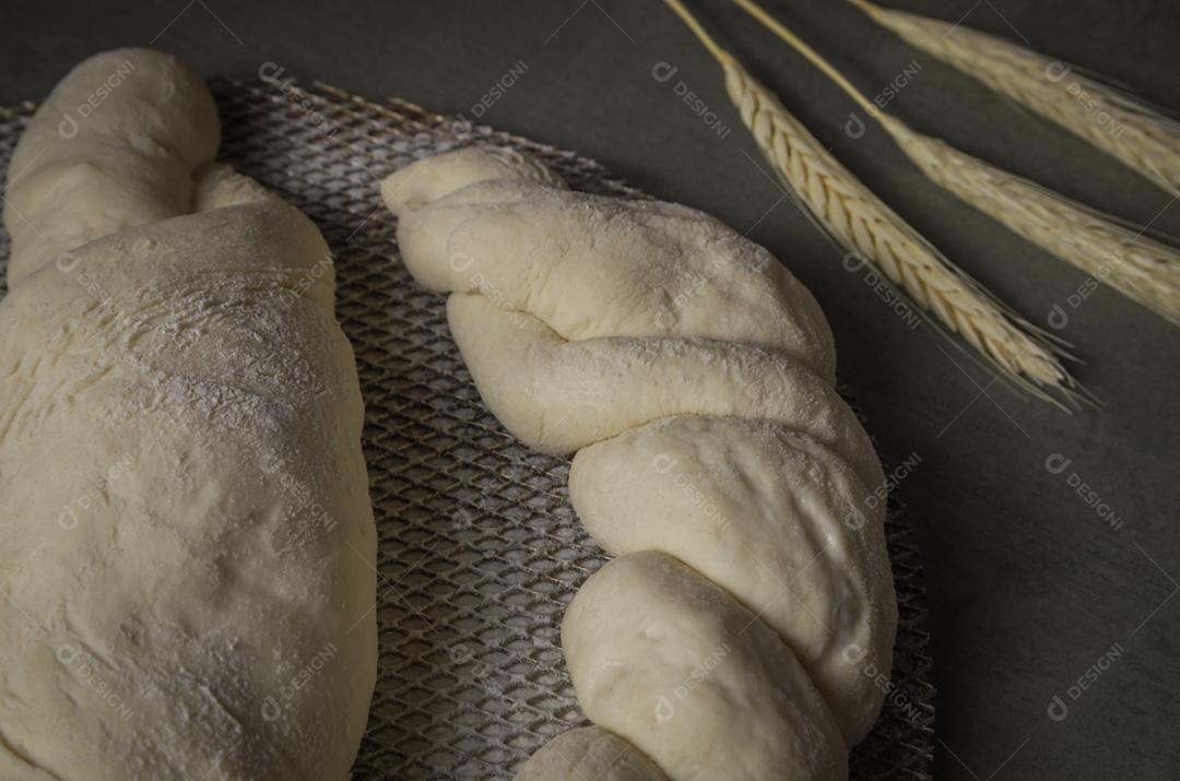 Fermentação de pão de fermento, fundo cinza com flor de trigo seca
