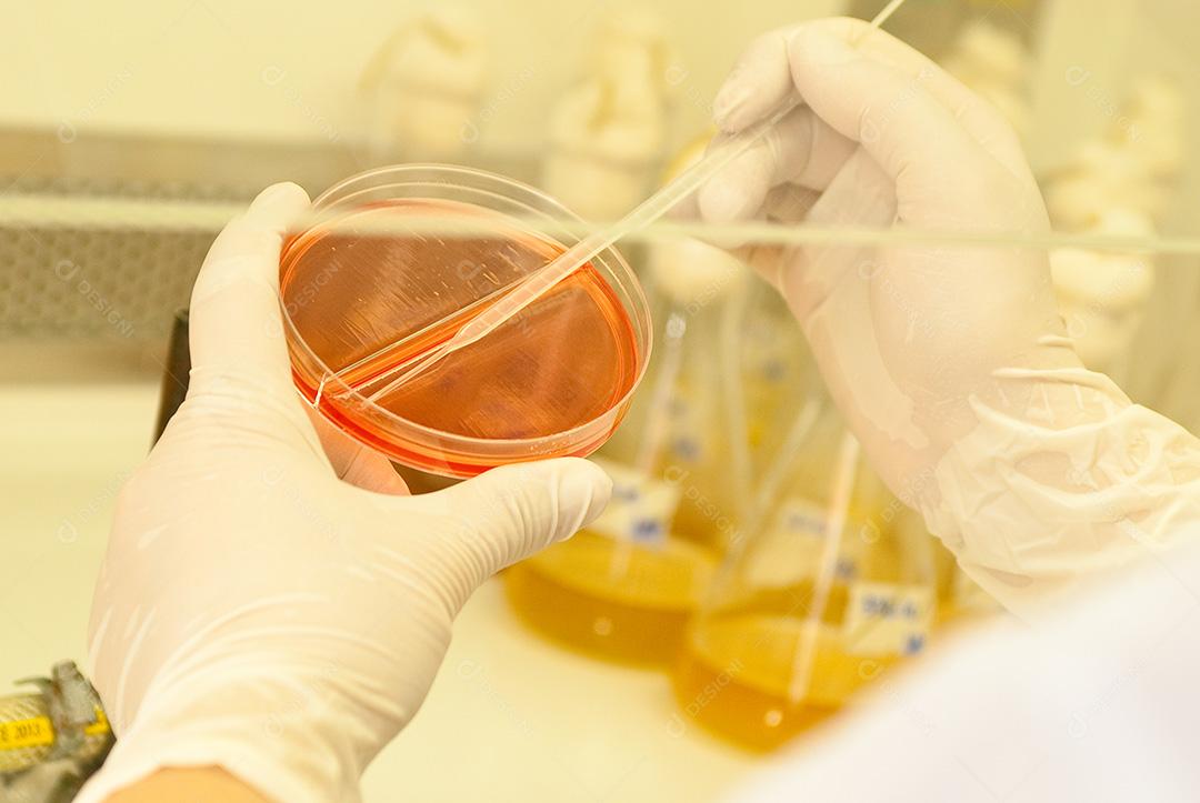 Laboratório farmacêutico, um dos segmentos que mais cresce