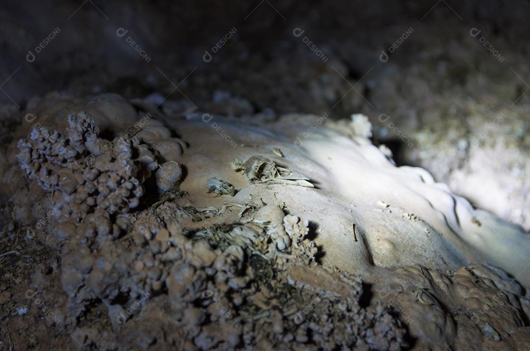 Restos de ossos deixados por corujas em uma caverna em Bonito, Brasil.