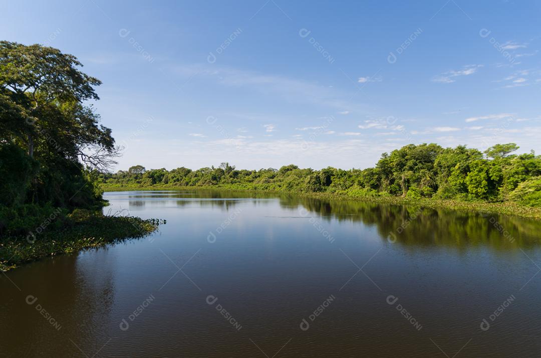 Linda imagem do pantanal brasileiro, região rica em fauna e flora.