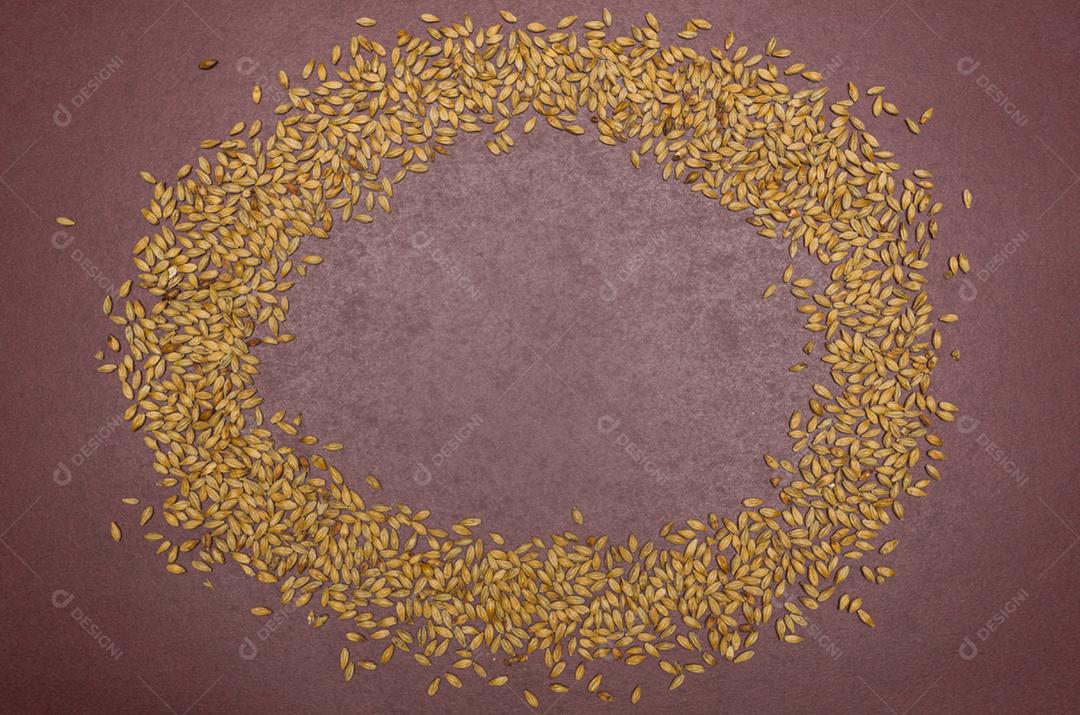 Textura de malte de cerveja em fundo vermelho de natal.