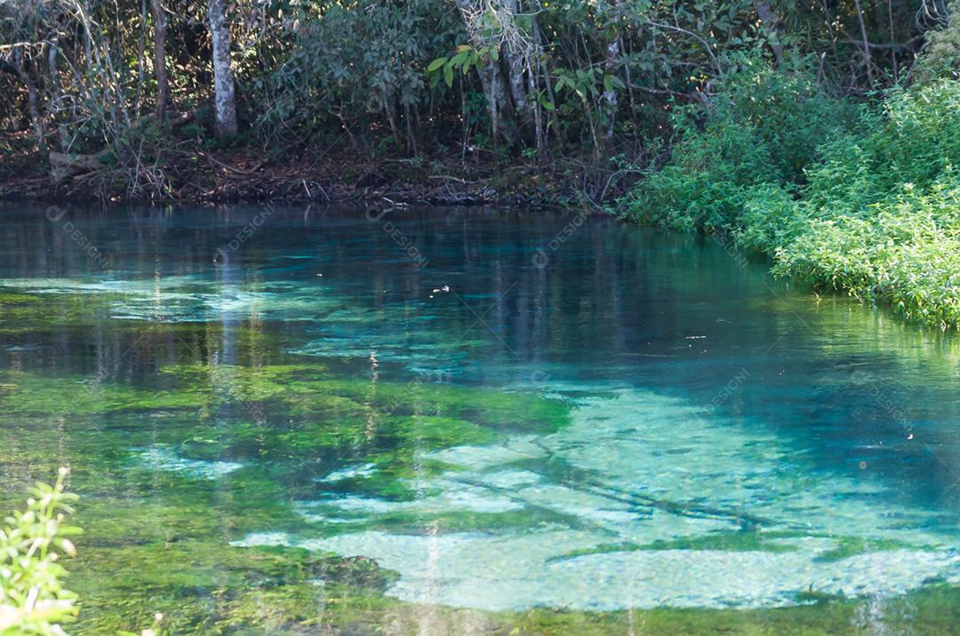 Nascer do sol do rio Sucuri, Brasil, rio azul cristalino e transparente, adequado para mergulho e snorkeling