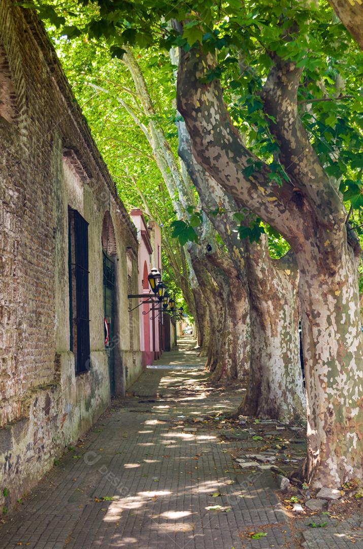 A arquitetura colonial portuguesa e as antigas ruas de paralelepípedos são algumas das principais características