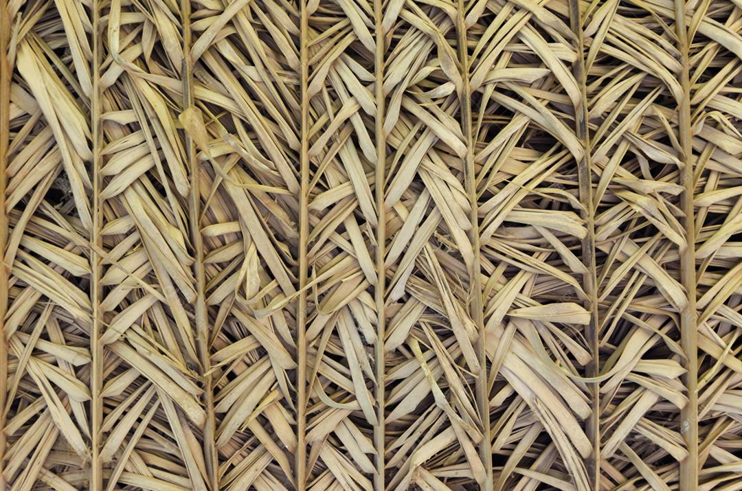 Bela textura de palha natural para vários fundos