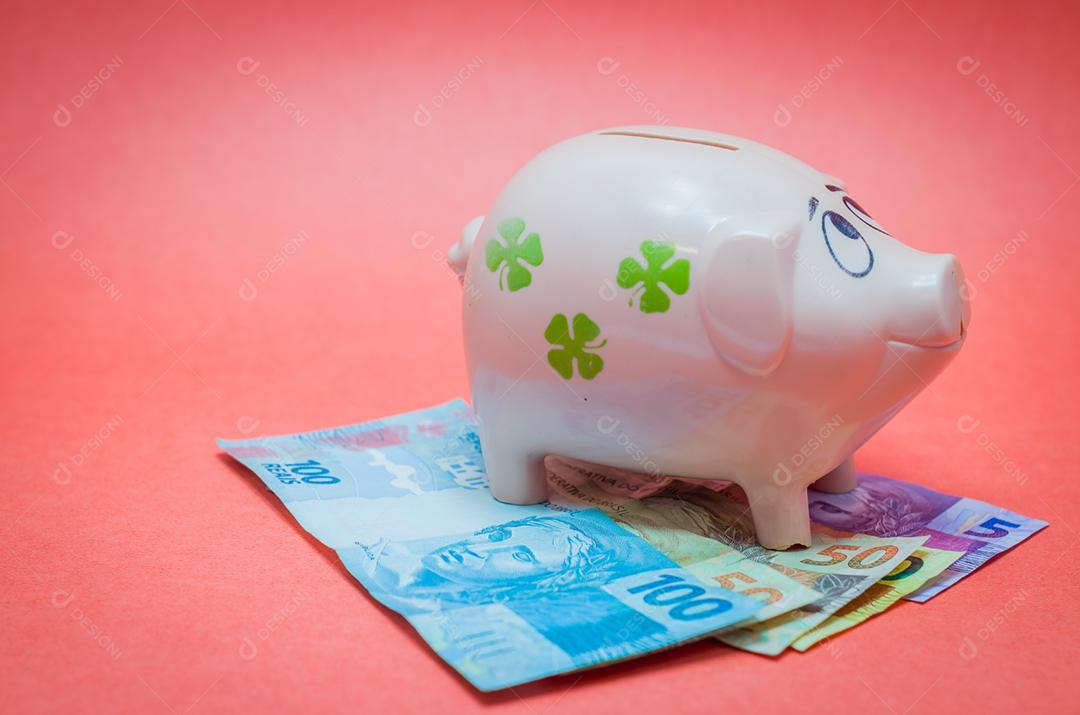 Grande conceito de economia, cofrinho, notas reais de dinheiro brasileiro.