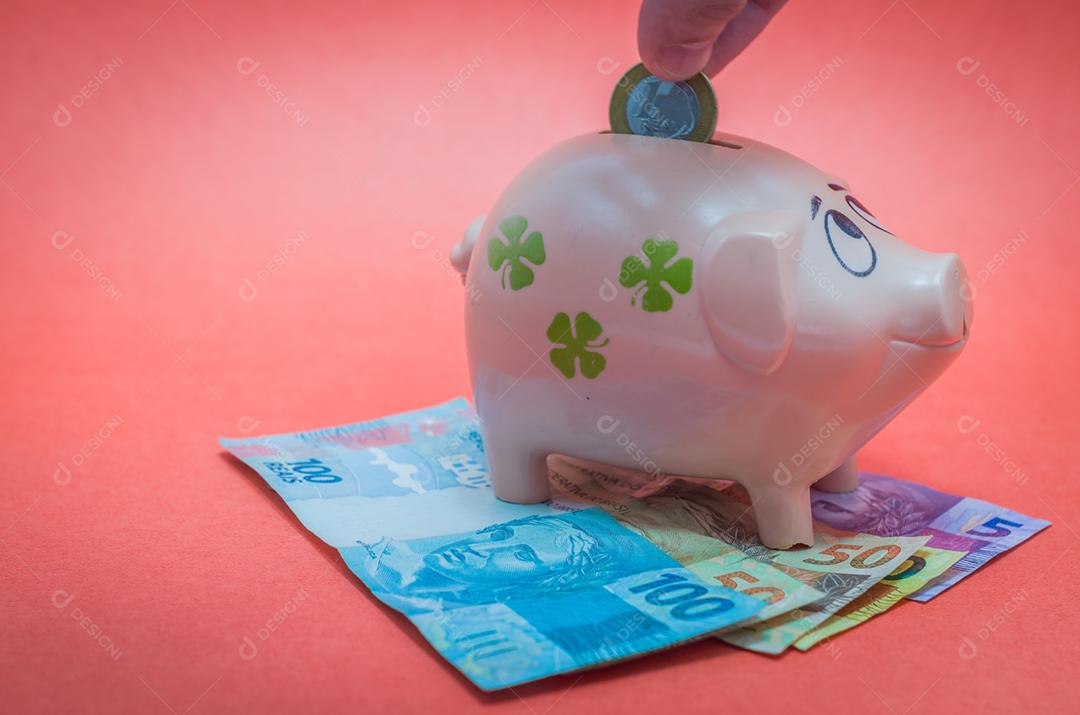 Grande conceito de economia, cofrinho, notas reais de dinheiro brasileiro