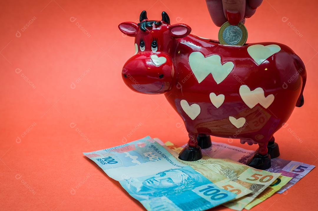 Ótimo conceito de economia para férias, inserindo moeda brasileira no banco de vacas, moeda real