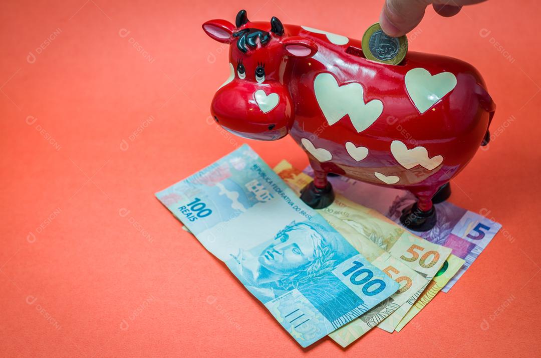 Grande conceito de economia, banco de vacas, notas reais de dinheiro brasileiro.