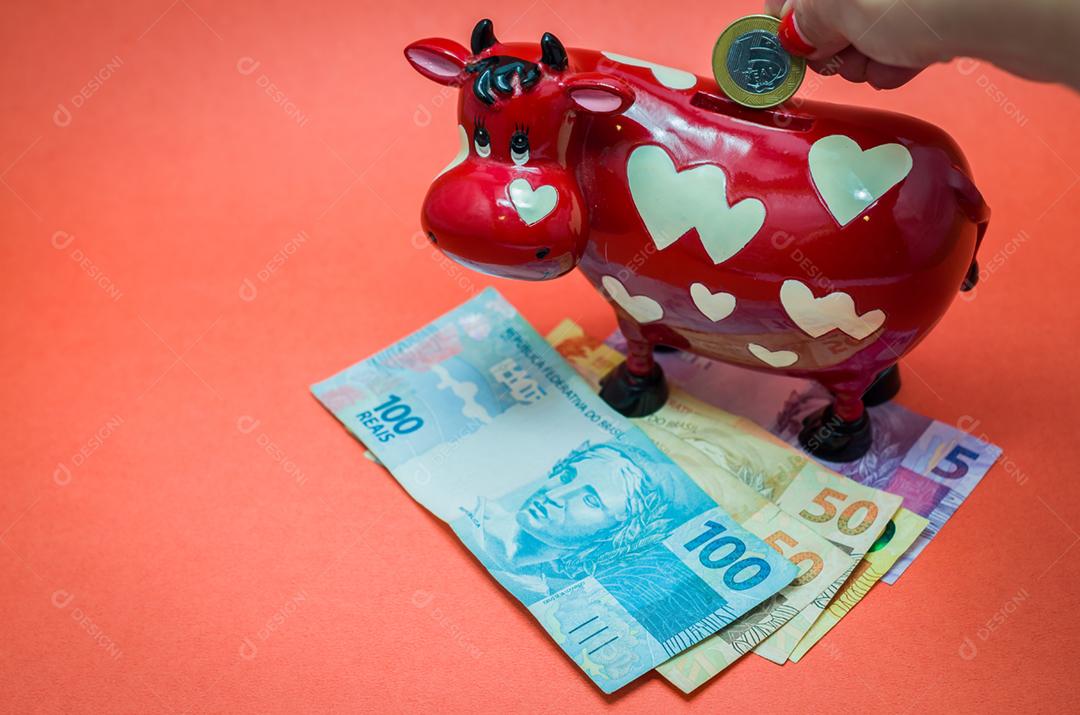 Grande conceito de economia, banco de vacas, notas reais de dinheiro brasileiro.