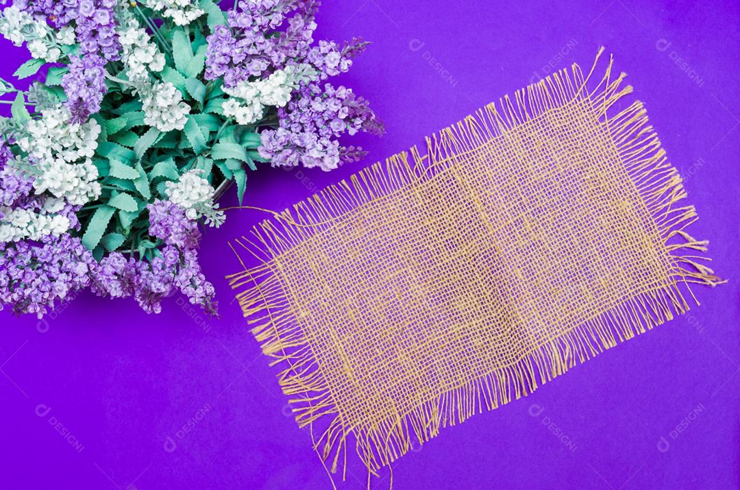 Vista aérea de um vaso de flores de lavanda em um fundo azul