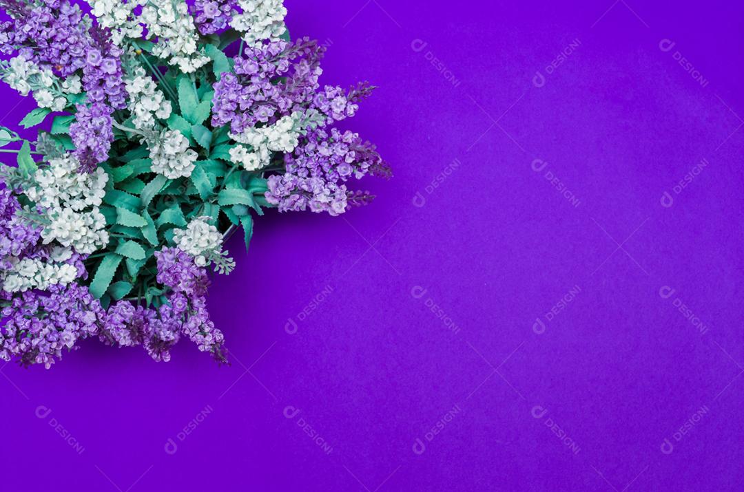 Vista aérea de um vaso de flores de lavanda em um fundo azul