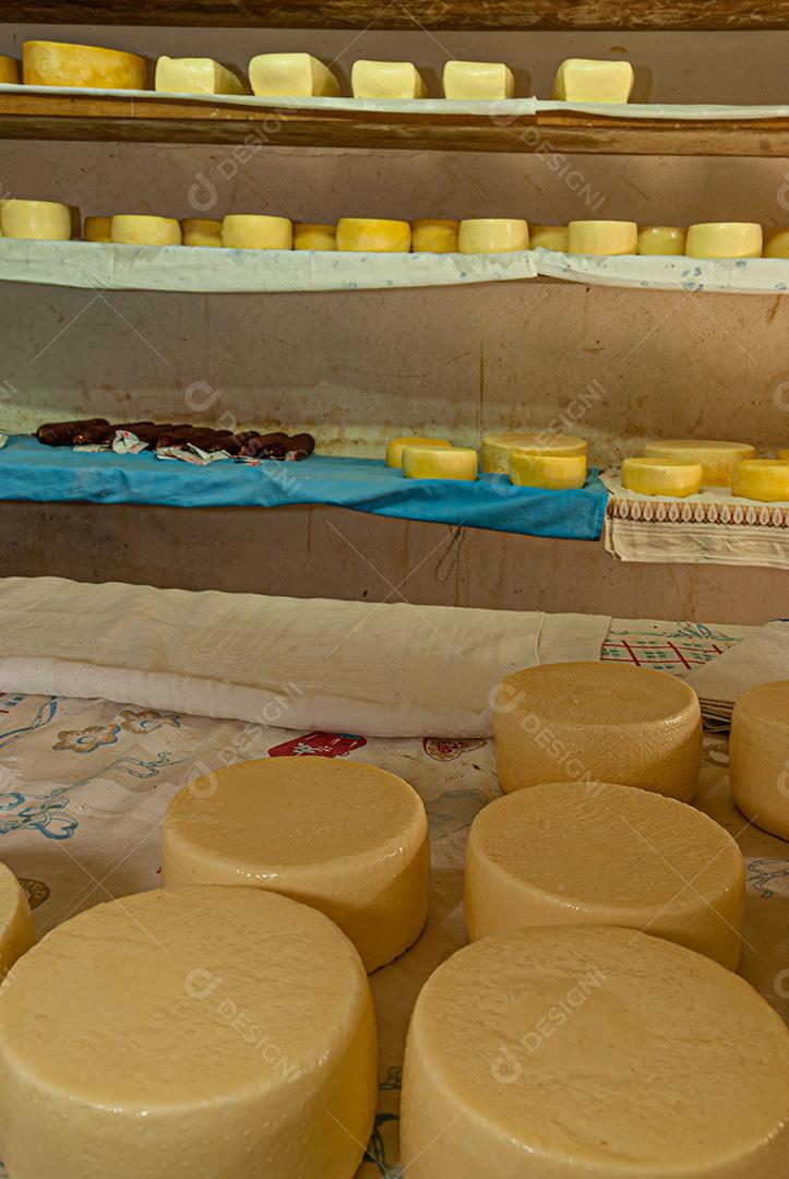 Queijos sendo curados em prateleiras e pendurados, aguardando tempo de amadurecimento.