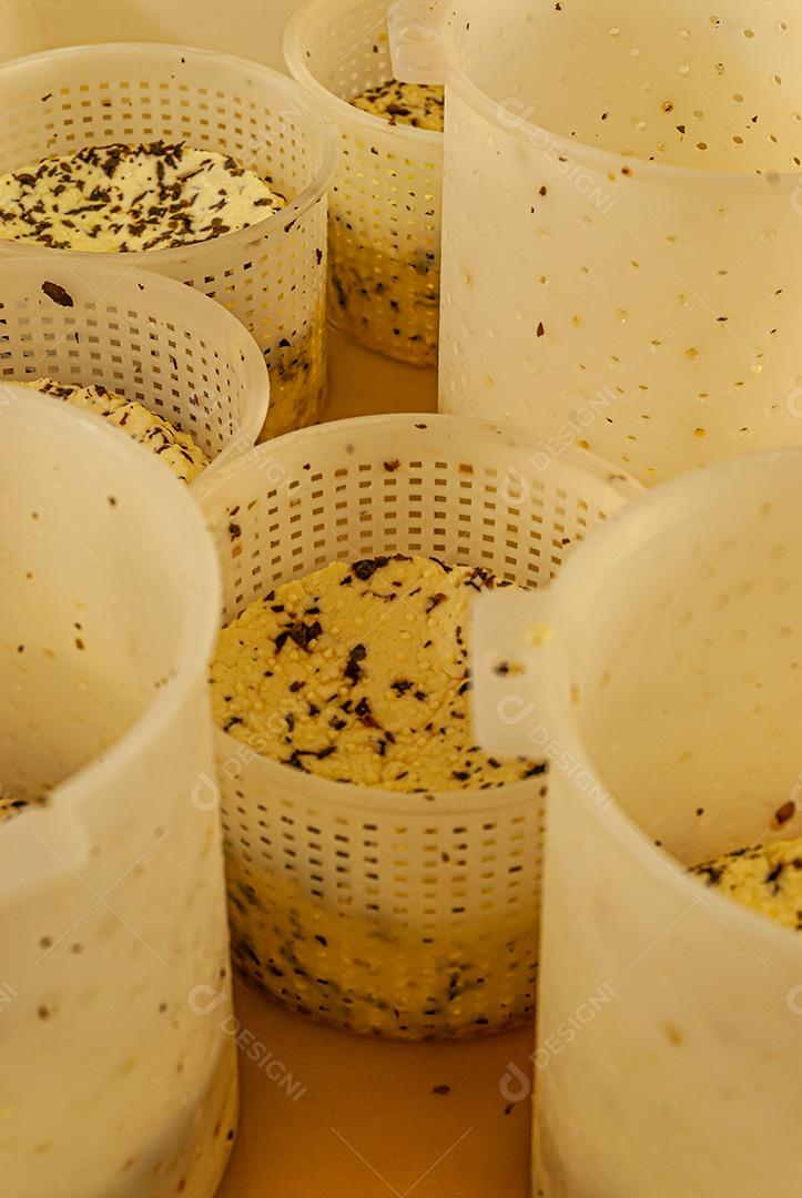 Queijos sendo curados em prateleiras e pendurados, aguardando amadurecimento