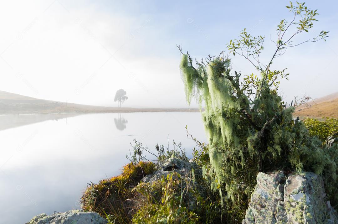Bela paisagem do lago em um dia nublado.
