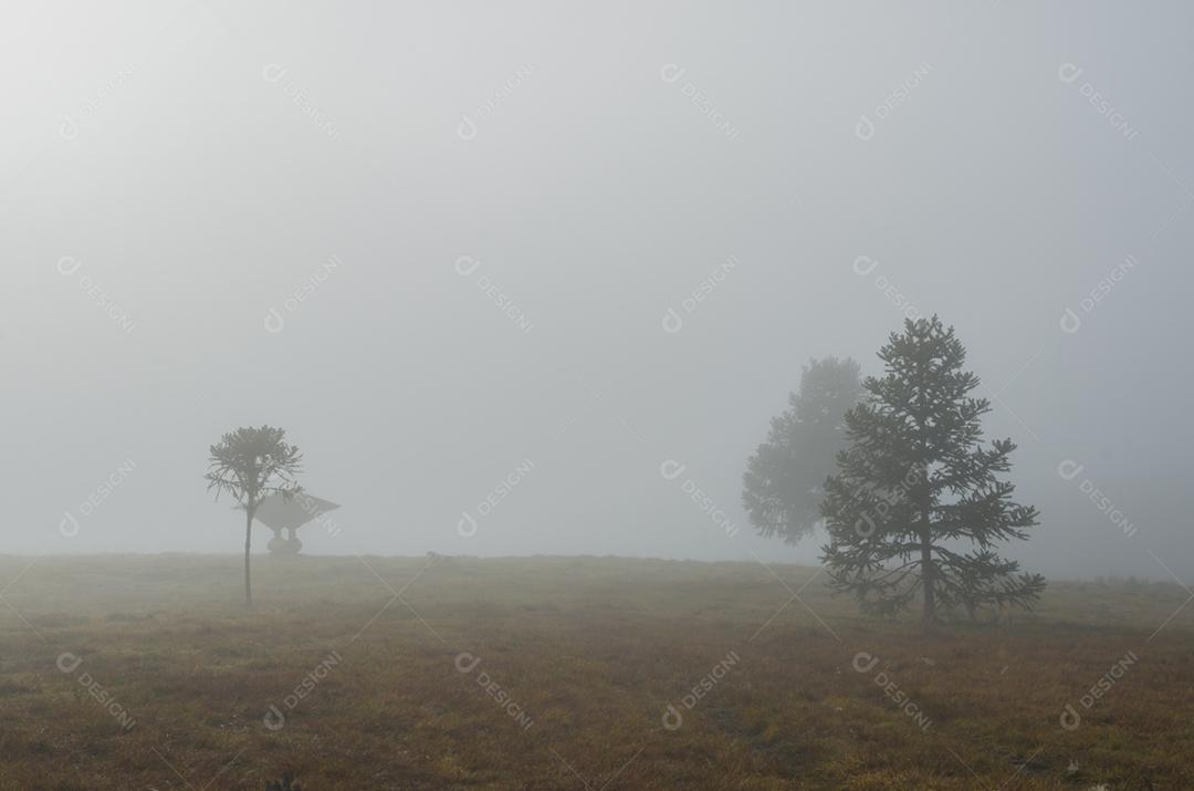 Bela paisagem de fazenda rural em dia nublado