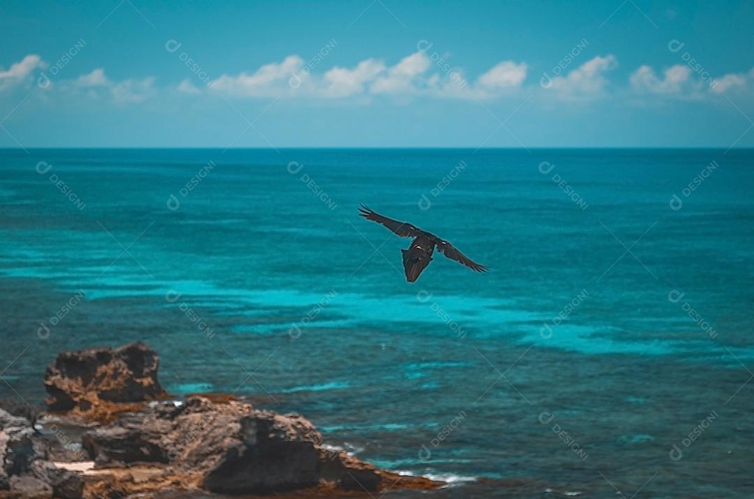 Vista da praia de Cancún