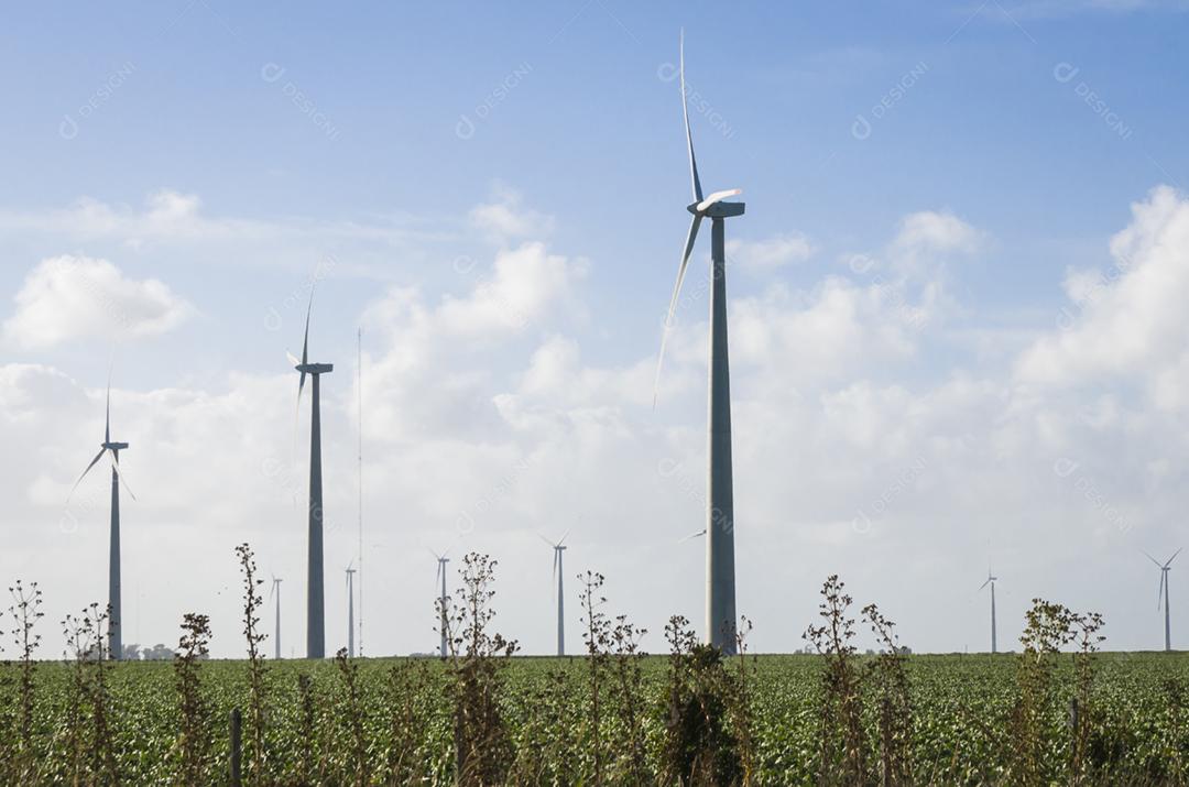 Moinhos de vento durante o dia de verão brilhante com céu azul, conceito de energia limpa e renovável.