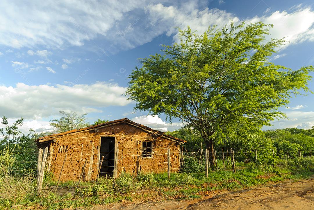 casa feita de barro e madeira, no semiárido rural do Nordeste brasileiro. Cacimbas, Paraíba, Brasil