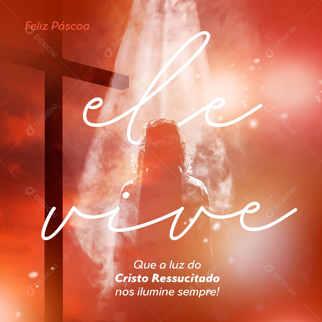 Social Media Feliz Pascoa Ele Vive PSD Editável
