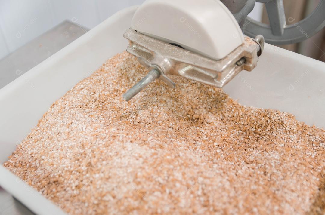 Moedor de malte caseiro tradicional, moendo malte pilsen.