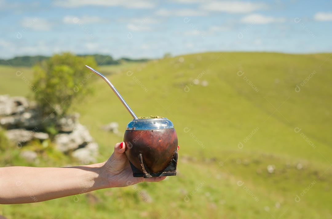 Mão de mulher segurando o companheiro tradicional, companheiro, com campo verde v