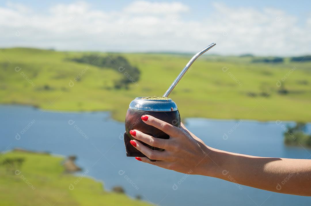 Mão de mulher segurando o companheiro tradicional, companheiro, com campo verde v