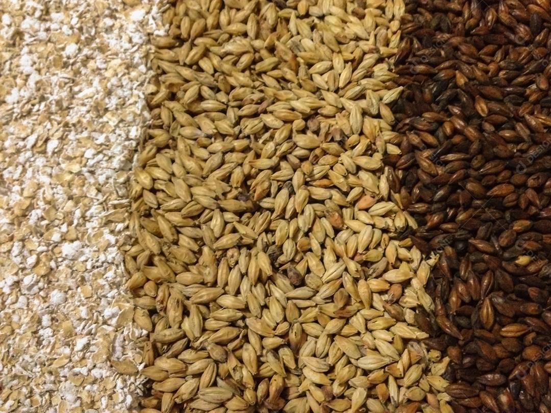 Sementes malte de Várias cores