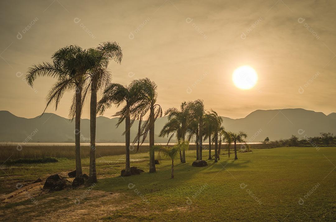 Palmeiras ao pôr do sol à beira da lagoa e montanhas ao fundo